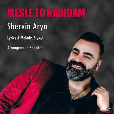 Shervin Arya - Mesle To Nadidam