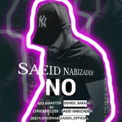 Saeid Nabizadeh - No