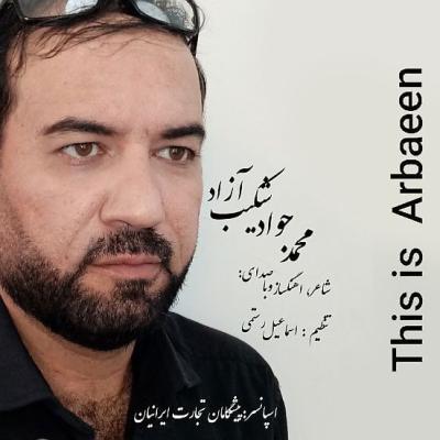 Mohammadjavad Shakib Azad - In Arbaeen