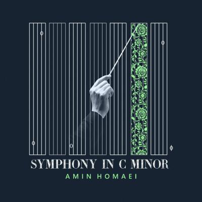 Amin Homaei - Symphony in C Minor
