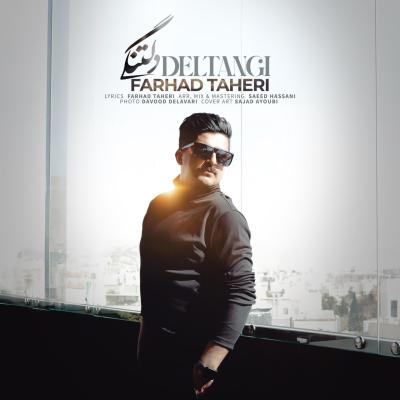 Farhad Taheri - Deltangi