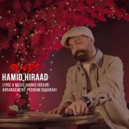 حمید هیراد - ناجی (دلی)