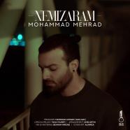 محمد مهراد - نمیزارم