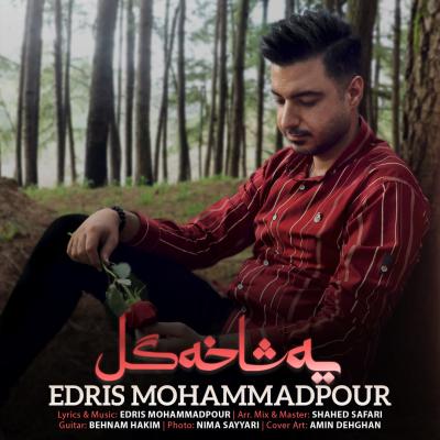 Edris Mohammadpour - Ye Shakhe Gol