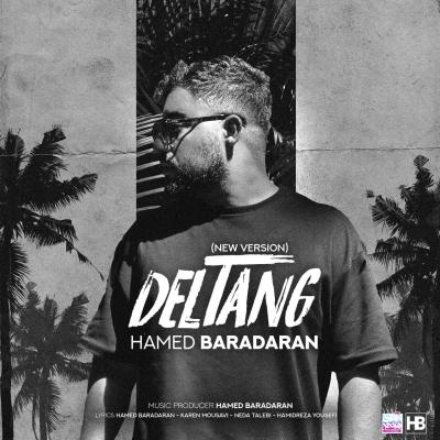Hamed Baradaran - Deltang (New Version)