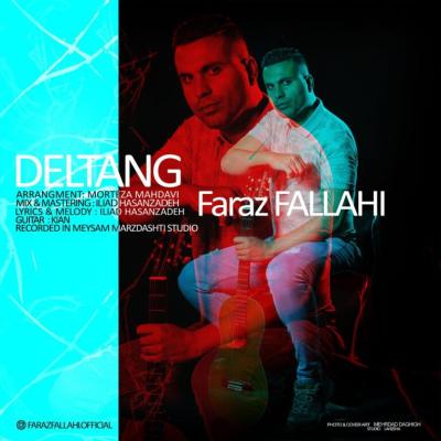 Faraz Fallahi - Deltang