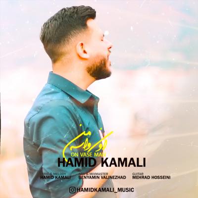 Hamid Kamali - On Vase Man
