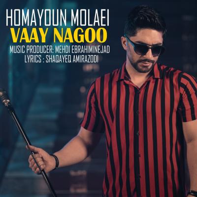 Homayoun Molaei - Vaay Nagoo