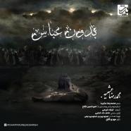محمدرضا عشریه - بدون عباس
