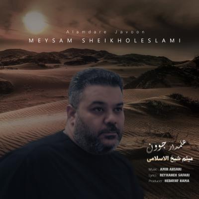 Meysam Sheikholeslami - Alamdare Javoon