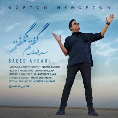 Saeed Ansari - Goftam Nagoftam