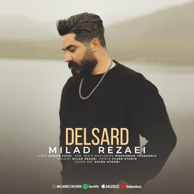 Milad Rezaei - Delsard