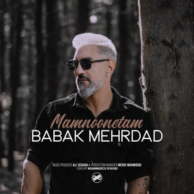 Babak Mehrdad - Mamnoonetam