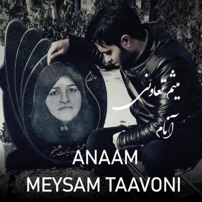 Meysam Taavoni - Anaam