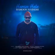 هامون هاشمی - همین حالا