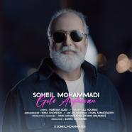 سهیل محمدی - گل ارغوان