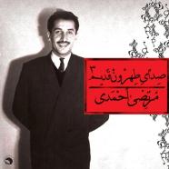 مرتضی احمدی - چغندر پخته