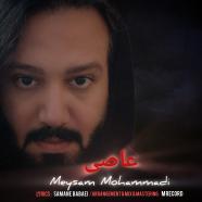میثم محمدی - عاصی
