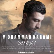 محمد کرمی - دنیا