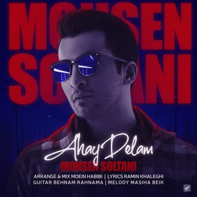 Mohsen Soltani - Ahay Delam