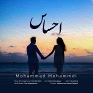 محمد محمدی - احساس