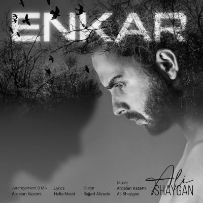 Ali Shaygan - Enkar