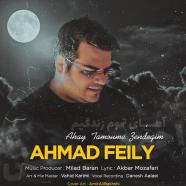احمد فیلی - آهای تموم زندگی