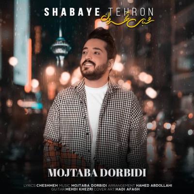 Mojtaba Dorbidi - Shabaye Tehroon