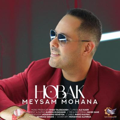 Meysam Mohana - Hobak
