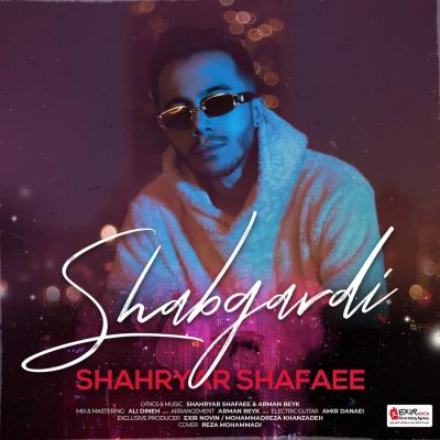 Shahryar Shafaee - Shabgardi
