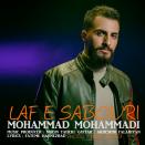 محمد محمدی لاف صبوری