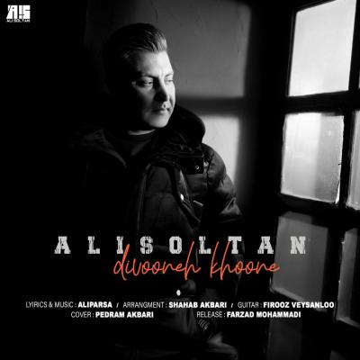 Ali Soltan - Divooneh Khoone