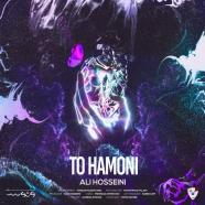 علی حسینی - تو همونی