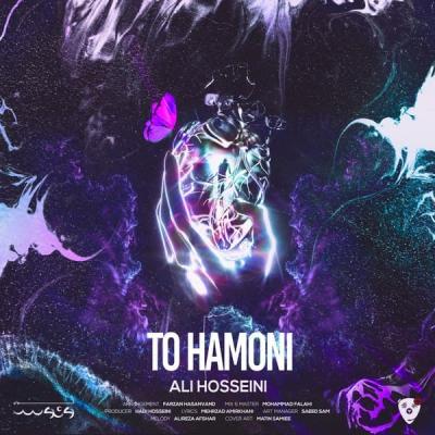 Ali Hosseini - To Hamoni