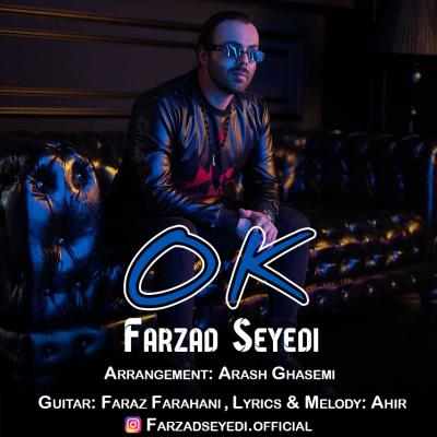 Farzad Seyedi - Ok