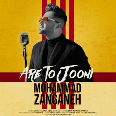 Mohammad Zanganeh - Are To Jooni