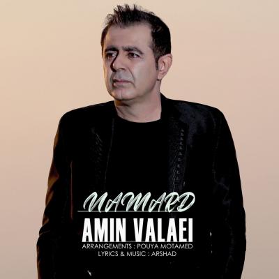 Amin Valaei - Namard