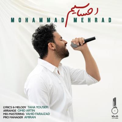 Mohammad Mehrad - Ehsasiam (Guitar Version)