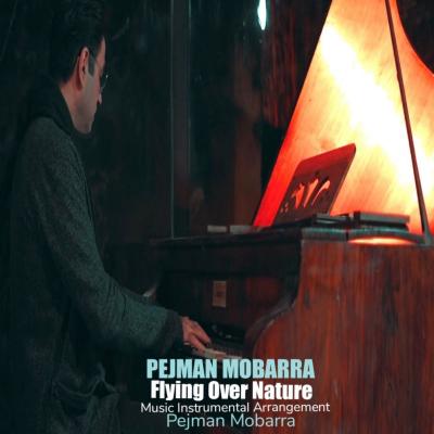 Pejman Mobarra - Flying Over Nature