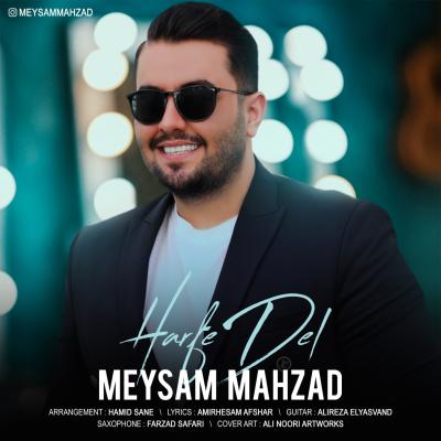 Meysam Mahzad - Harfe Del