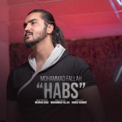 Mohammad Fallah - Habs