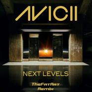 آویچی - Levels (Remix)