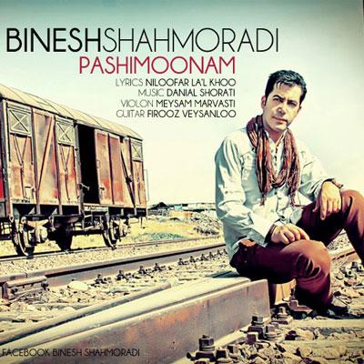 Binesh Shahmoradi - Pashimoonam