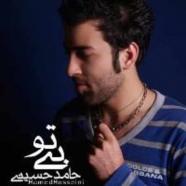 حامد حسینی - بی تو