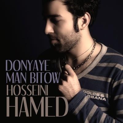 حامد حسینی - دنیای من بی تو