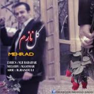 مهراد سعیدی - گل نازم
