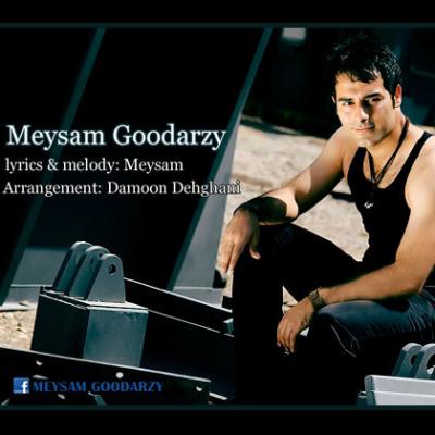 Meysam Goodarzy - Vaghti Mishkane Boghzet