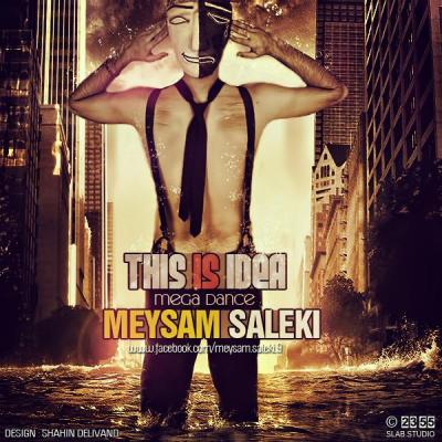 Meysam Saleki - This Is Idea