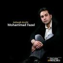 محمد فاضل عاشق کشی