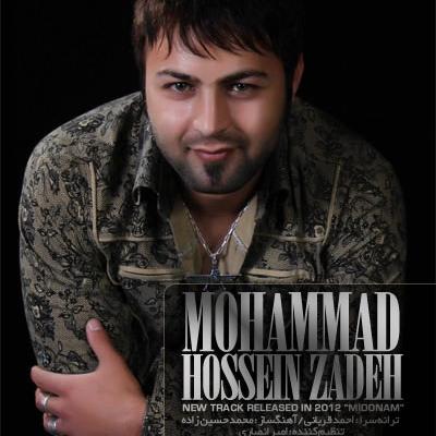 Mohammad Hossein Zadeh - Midonam